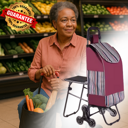 Chariot Pliable Multifonction avec Siège ✨ 🛒  Structure robuste en métal ✅