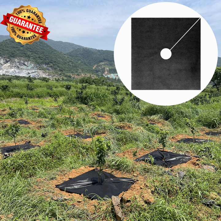 🌱 Géotextile Noir Anti-Mauvaises Herbes