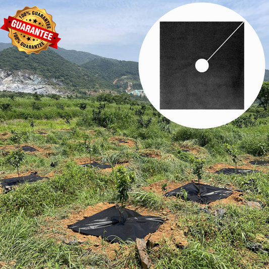 🌱 Géotextile Noir Anti-Mauvaises Herbes